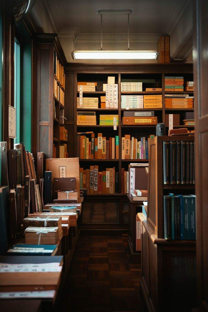 hidoza-cisuju.site - Image 2